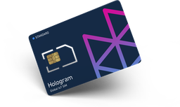 [NVT019461] Tarjeta SIM Industrial Hologram